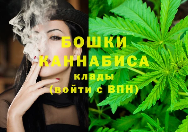 метадон Алексин