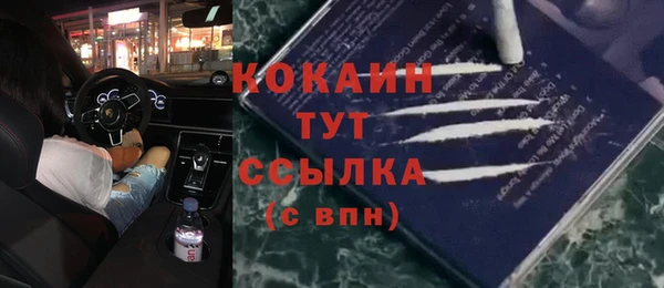 молекула духа Алзамай