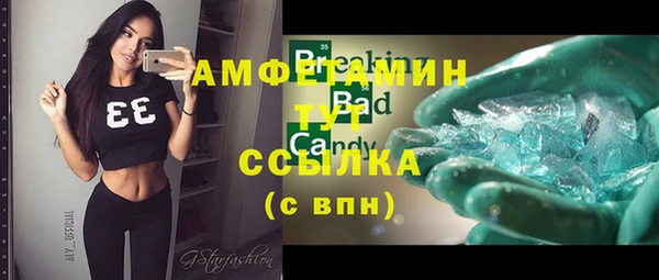 МДПВ Ельня
